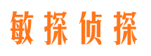 惠阳市私家侦探